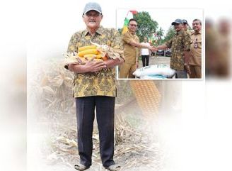 Petani Jalan Flora  Bertahan di Tengah Kepungan Perumahan, Jaga Ketahanan Pangan Pontianak