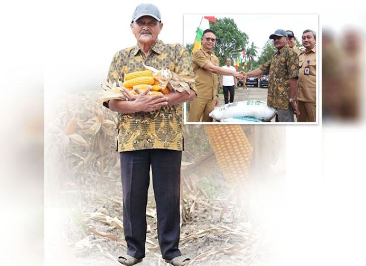 Photo of Petani Jalan Flora  Bertahan di Tengah Kepungan Perumahan, Jaga Ketahanan Pangan Pontianak