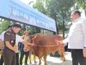 Sambut Idul Adha 1447 H, Jaksa Agung Serahkan 57 Hewan Kurban