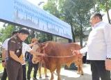Photo of Sambut Idul Adha 1447 H, Jaksa Agung Serahkan 57 Hewan Kurban