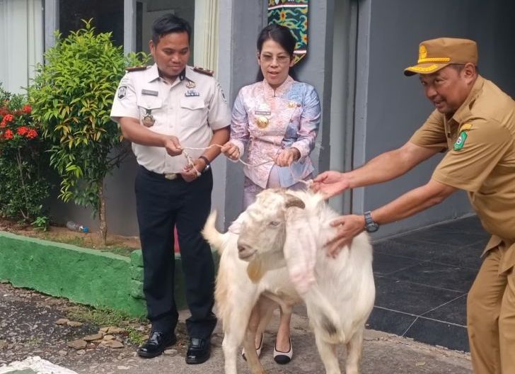 Photo of Lapas Kelas IIB Singkawang Terima Bantuan Hewan Kurban