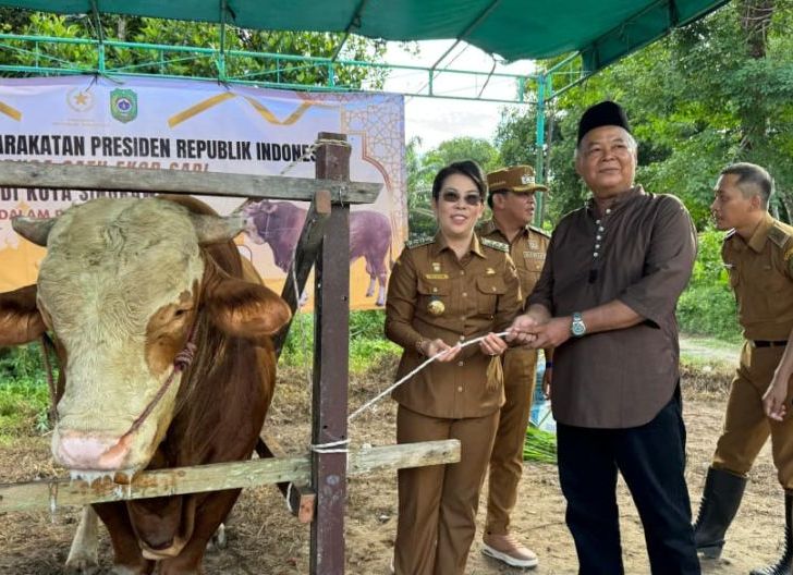 Photo of Pemkot Singkawang Salurkan Sapi Kurban Bantuan Presiden