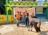 Photo of DPC Hanura Sanggau Serahkan Satu Ekor Sapi Qurban Ke Mesjid Nurussalam Sanggau
