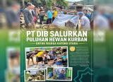 Photo of PT DIB Salurkan Puluhan Hewan Kurban untuk Warga Kayong Utara
