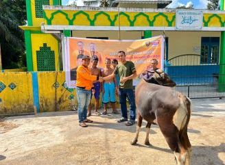 DPC Hanura Sanggau Serahkan Satu Ekor Sapi Qurban Ke Mesjid Nurussalam Sanggau