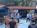 Polres Sanggau Gelar Penyembelihan Hewan Kurban, Perkuat Nilai Kebersamaan dan Pengabdian