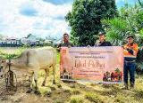 Photo of Maknai Idul Adha, CMI Bagikan Hewan Kurban ke Masyarakat Sekitar Area Operasi