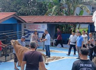 Polres Sanggau Gelar Penyembelihan Hewan Kurban, Perkuat Nilai Kebersamaan dan Pengabdian