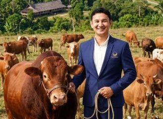Aksi Nyata Sang Legislator Muda, Gulam Mohamad Sharon Sebar Sapi Limosin & 25 Sapi Qurban di Kalimantan Barat