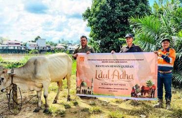 Maknai Idul Adha, CMI Bagikan Hewan Kurban ke Masyarakat Sekitar Area Operasi