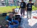 DPKPP Singkawang Temukan 129 Hewan Kurban Terinfeksi Cacing Hati