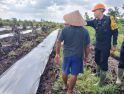 Waspadai Musim Kemarau, Brimob Kalbar Tingkatkan Patroli Di Titik Rawan Karhutla