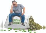 Photo of Kratom Kalbar Semakin Tenggelam, Desak Pemerintah Bangun Percepatan Hilirisasi, Pengusaha Soroti Anjloknya Daya Saing dan Harga
