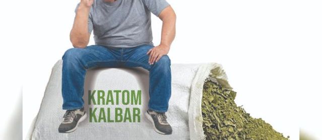 Kratom Kalbar Semakin Tenggelam, Desak Pemerintah Bangun Percepatan Hilirisasi, Pengusaha Soroti Anjloknya Daya Saing dan Harga