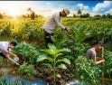 Dari Markas ke Lahan Produktif, Brimob Kalbar Dukung Swasembada Pangan Nasional