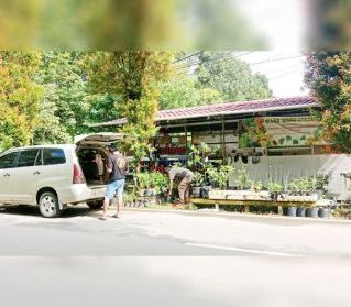 Menanam Harapan dari Khatulistiwa