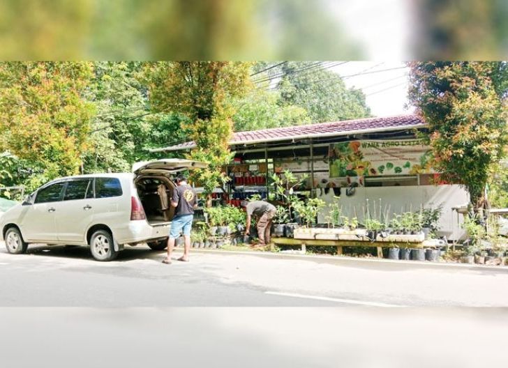 Photo of Menanam Harapan dari Khatulistiwa