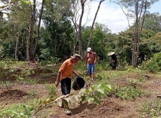 Dari Semak Belukar Menjadi Harapan: Kisah Rantau Buloh