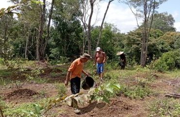 Dari Semak Belukar Menjadi Harapan: Kisah Rantau Buloh
