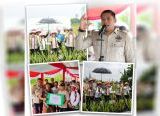 Photo of Wamentan Dukung Pengembangan Aloe Vera di Kota Pontianak, 