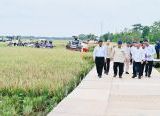 Photo of Pemerintah Tegaskan Swasembada Pangan Berkelanjutan sebagai Pilar Kedaulatan Nasional