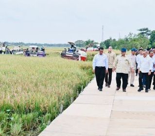 Pemerintah Tegaskan Swasembada Pangan Berkelanjutan sebagai Pilar Kedaulatan Nasional