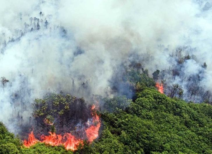 Photo of 8 Hektare Lahan Terbakar di Rasau Jaya, Butuh Penambahan Selang dan Mesin Pompa