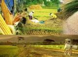 Photo of Kedaulatan Pangan Diperkuat lewat Optimasi Lahan dan Larangan Alih Fungsi Sawah