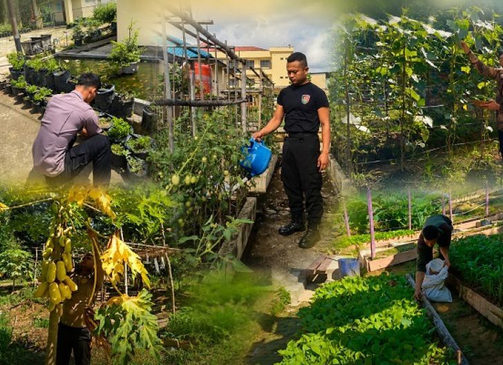 Photo of Brimob Kalbar Sulap Lahan Kosong Jadi Kebun Produktif, Dukung Swasembada Pangan Nasional