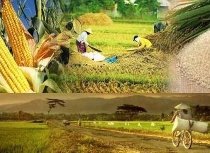 Photo of Kedaulatan Pangan Diperkuat lewat Optimasi Lahan dan Larangan Alih Fungsi Sawah