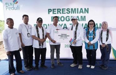 PLN Dorong Kemandirian Petani melalui Program Budidaya Jahe Gajah di Mempawah
