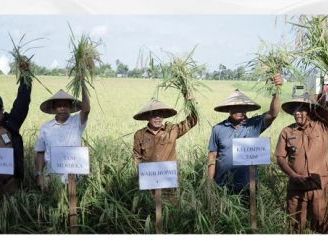Tingkatan Produktivitas Pertanian Perkuat Ketahanan Pangan