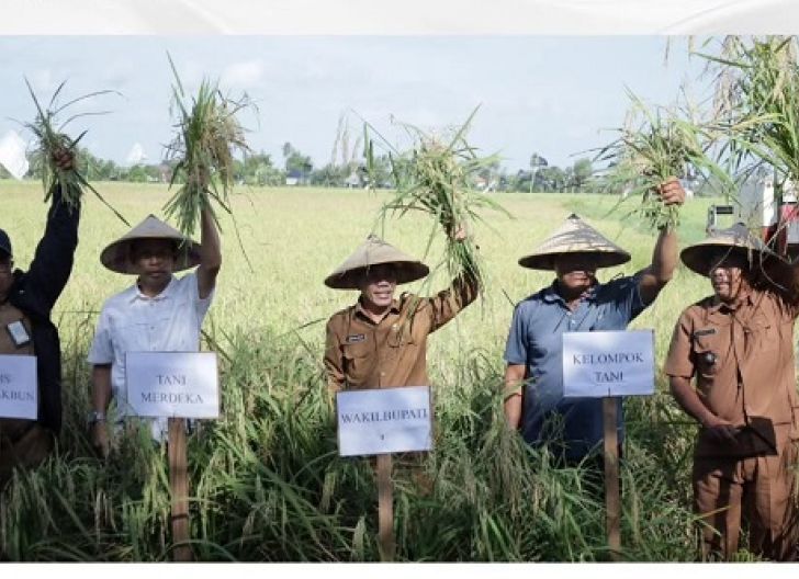 Photo of Tingkatan Produktivitas Pertanian Perkuat Ketahanan Pangan
