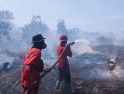 Daops Manggala Agni Kalimantan X Ketapang Bersama Satgas Dalkarhut Berhasil Padamkan Karhutla di Desa Sungai Putri