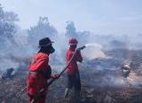 Photo of Daops Manggala Agni Kalimantan X Ketapang Bersama Satgas Dalkarhut Berhasil Padamkan Karhutla di Desa Sungai Putri