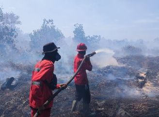 Daops Manggala Agni Kalimantan X Ketapang Bersama Satgas Dalkarhut Berhasil Padamkan Karhutla di Desa Sungai Putri