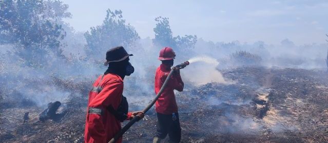 Daops Manggala Agni Kalimantan X Ketapang Bersama Satgas Dalkarhut Berhasil Padamkan Karhutla di Desa Sungai Putri