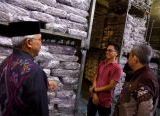 Photo of Pemkot Pontianak Pastikan Pasokan Pangan Tetap Stabil, Cek Pasar hingga Gudang