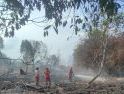 Waspada Karhutla, 84 Hotspot Terdeteksi di Kubu Raya