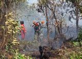 Photo of Bersinergi Cegah Meluasnya Kebakaran, Prajurit Yonko 466 Pasgat Bergerak Cepat Padamkan Api Karhutla di Kubu Raya