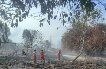Waspada Karhutla, 84 Hotspot Terdeteksi di Kubu Raya