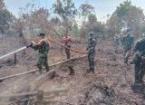 Photo of Mitigasi Karhutla, Kodim 1207/Pontianak Terjunkan Personel dan Armada Modifikasi ke Kubu Raya