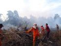 Manggala Agni Singkawang Deteksi 218 Hotspot Sejak Februari 2026