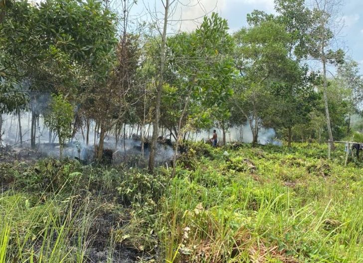 Photo of Petugas Damkar Kota Singkawang Padamkan Kebakaran Lahan Dekat Pemukiman Warga