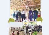 Photo of Mahasiswa Universitas OSO Tanam 2.000 Mangrove, Libatkan 300 Peserta Lintas Sektor