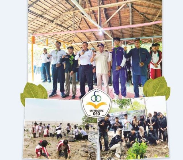 Mahasiswa Universitas OSO Tanam 2.000 Mangrove, Libatkan 300 Peserta Lintas Sektor