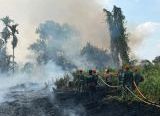 Photo of Terus Berjibaku, Prajurit Yon Parako 466 Pasgat Brajamusti Terus Berjuang Padamkan Karhutla di Arang Limbung