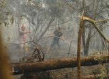 Photo of Wali Kota Imbau Warga Kurangi Aktivitas di Luar Rumah, Kabut Asap Mulai Selimuti Pontianak