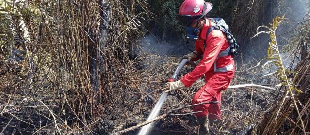 Kapolres Singkawang Imbau Warga Cegah Karhutla, Segera Laporkan ke 110 Jika Temukan Titik Api