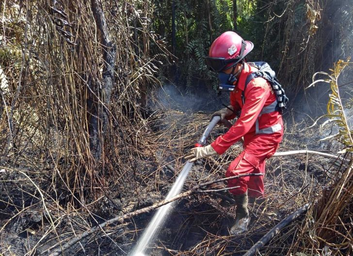 Photo of Kapolres Singkawang Imbau Warga Cegah Karhutla, Segera Laporkan ke 110 Jika Temukan Titik Api